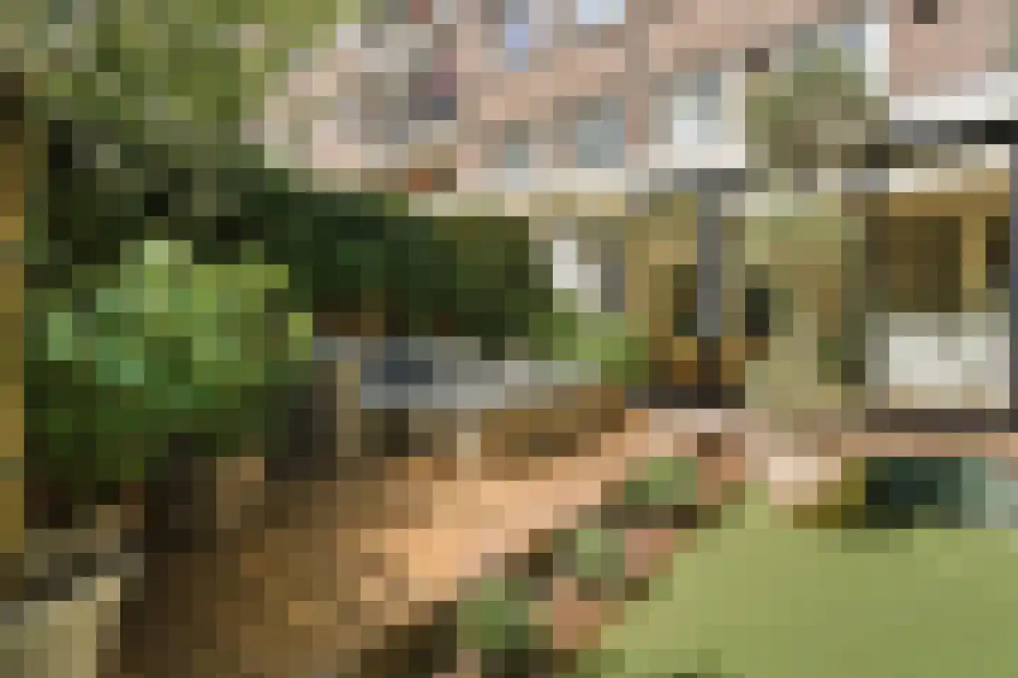 Krugerstraat 21 A Amsterdam thumbnail 13