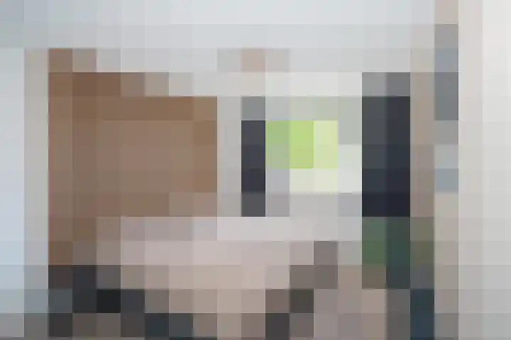 Krugerstraat 217 Vaassen thumbnail 14