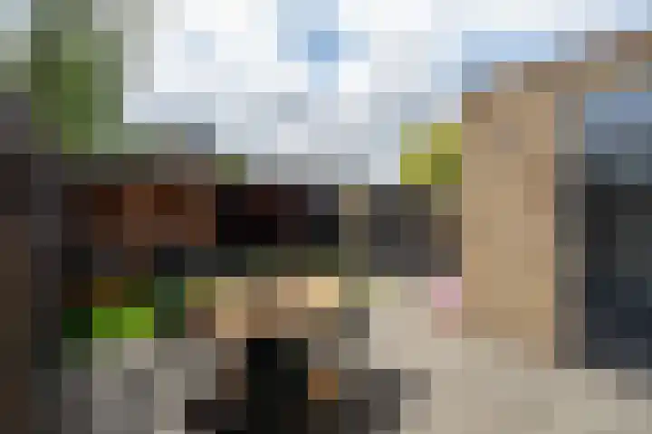 Krugerstraat 217 Vaassen thumbnail 24