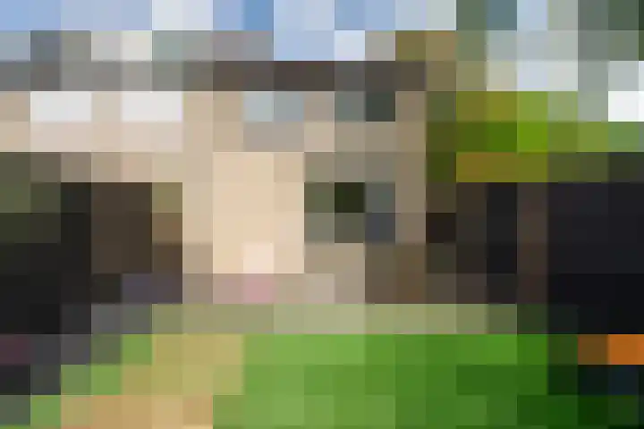 Krugerstraat 217 Vaassen thumbnail 25