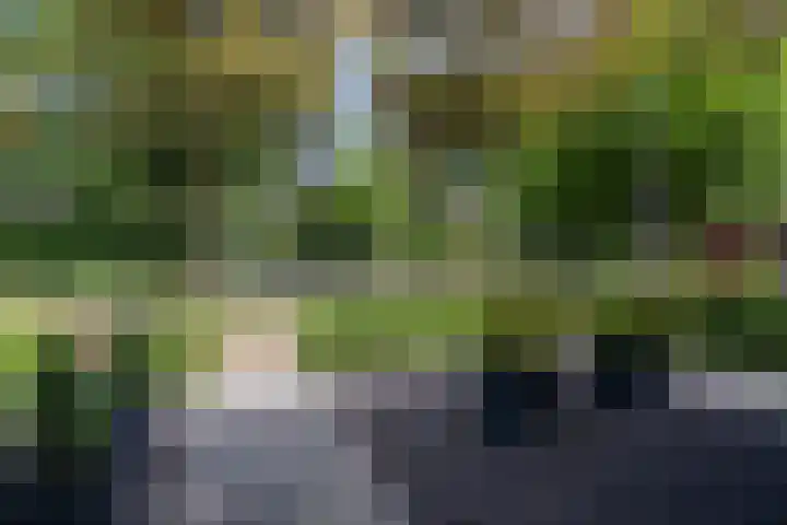 Krugerstraat 217 Vaassen thumbnail 4