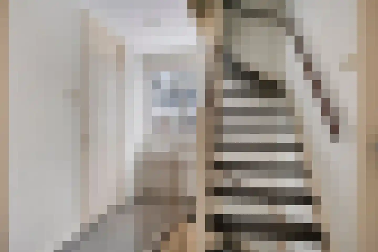 Krugerstraat 314 Vaassen thumbnail 18