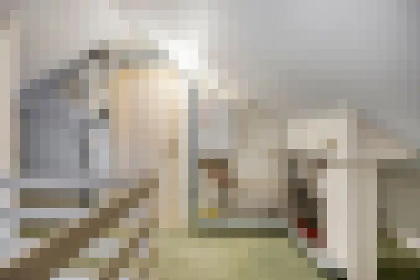 Krugerstraat 314 Vaassen thumbnail 33