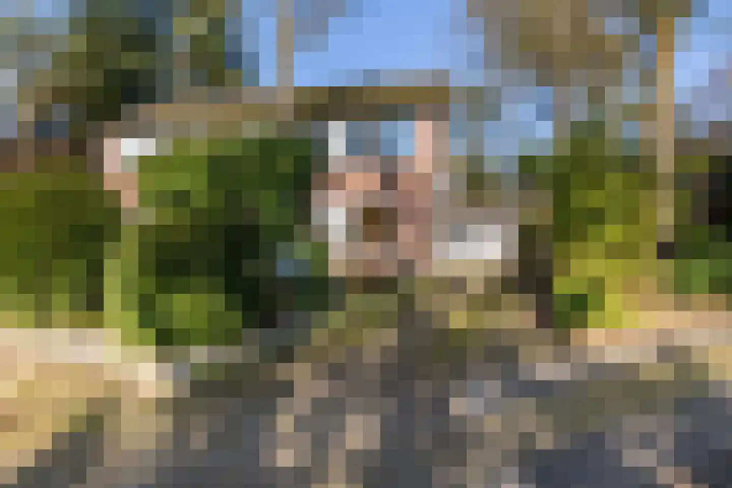 Krugerstraat 314 Vaassen thumbnail 5