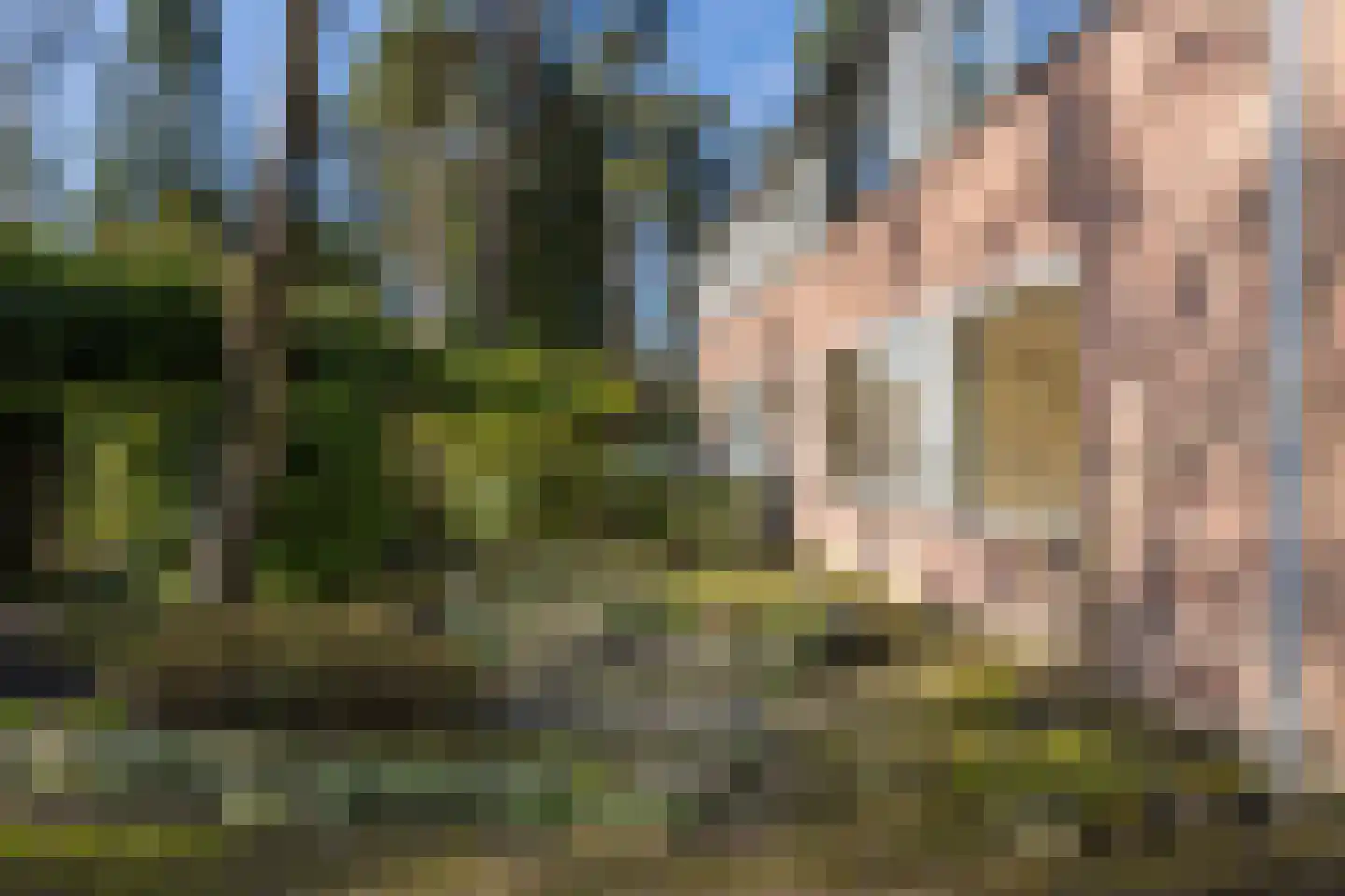Krugerstraat 314 Vaassen thumbnail 6