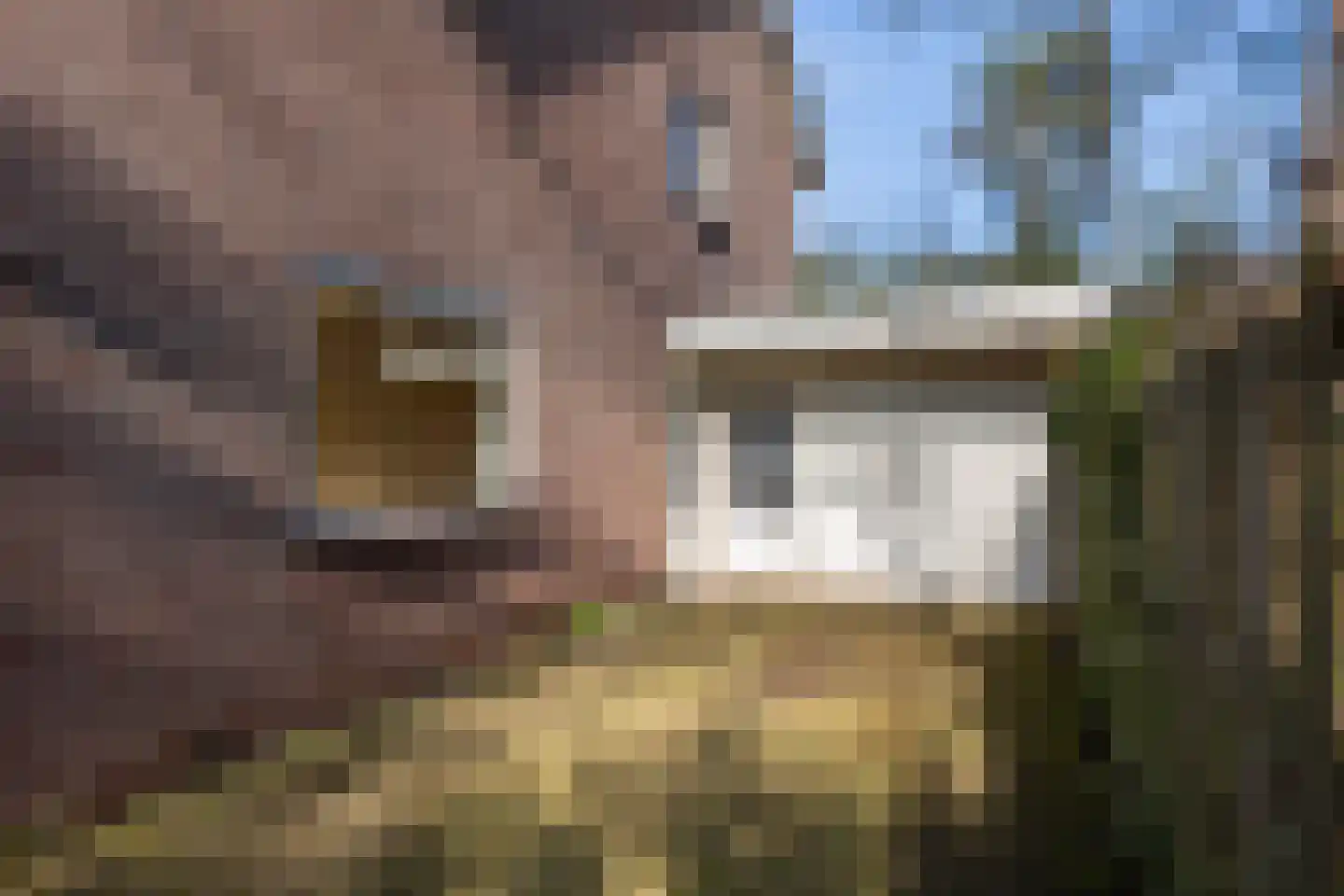 Krugerstraat 314 Vaassen thumbnail 7