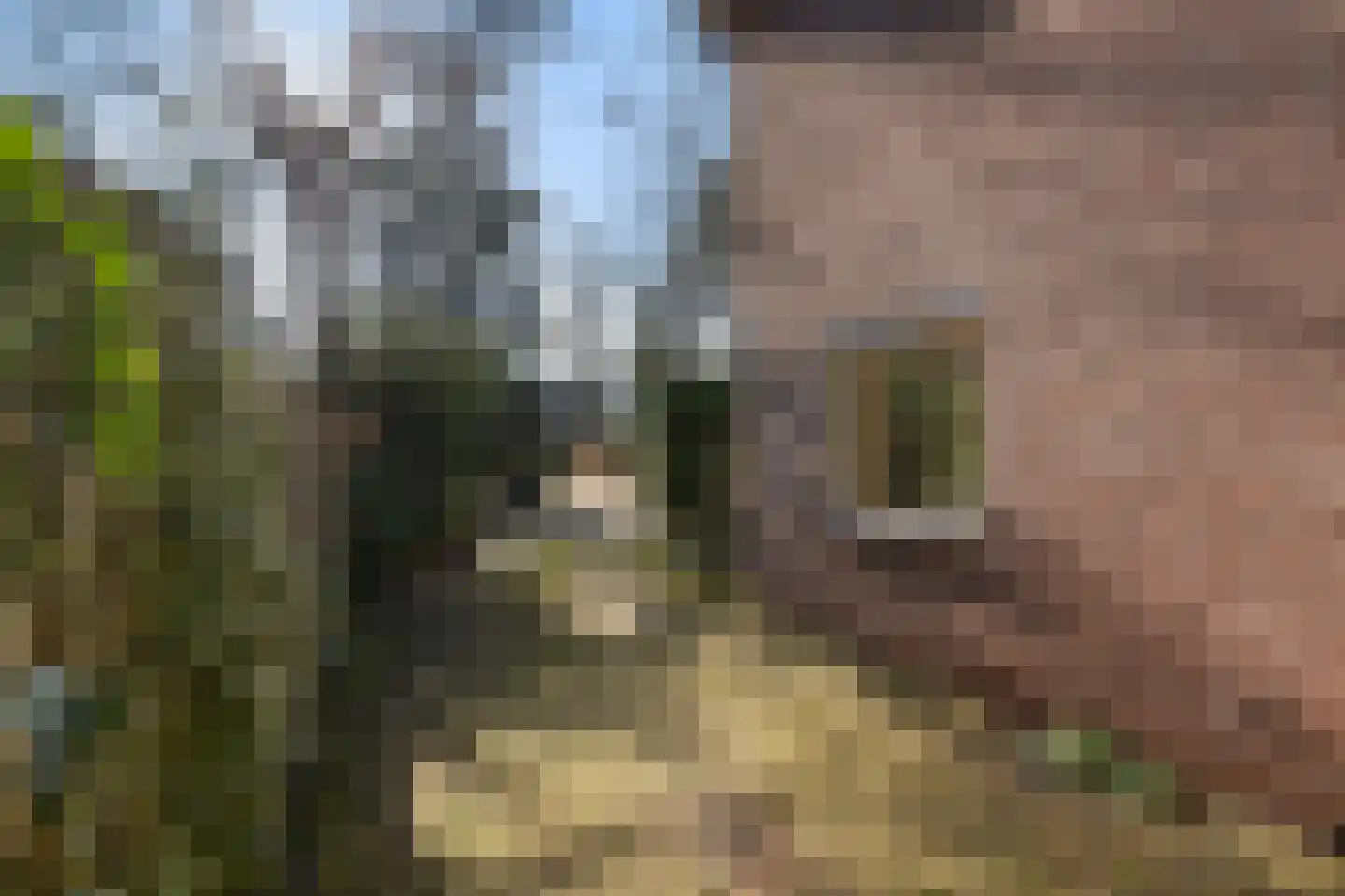 Krugerstraat 314 Vaassen thumbnail 8
