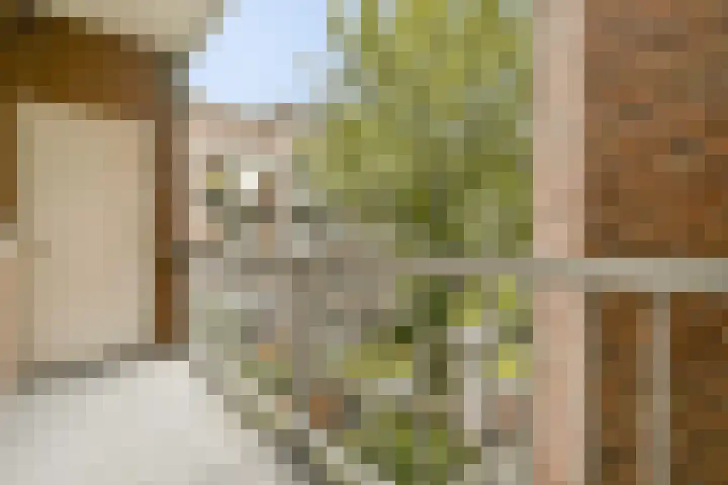 Krugerstraat 35 C Amsterdam thumbnail 19