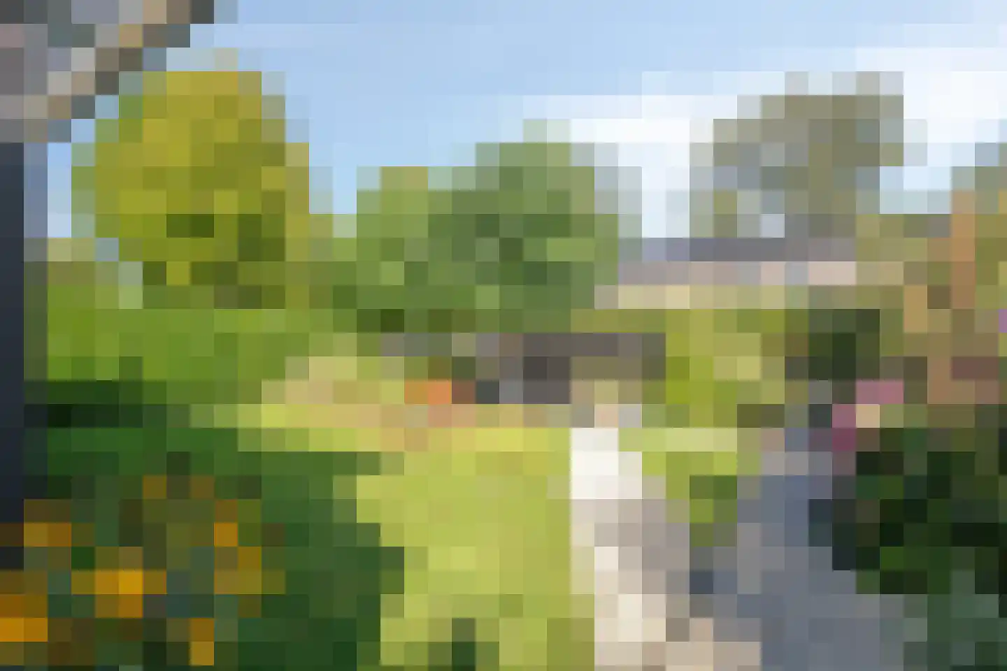 Krugerstraat 40 Vaassen thumbnail 34