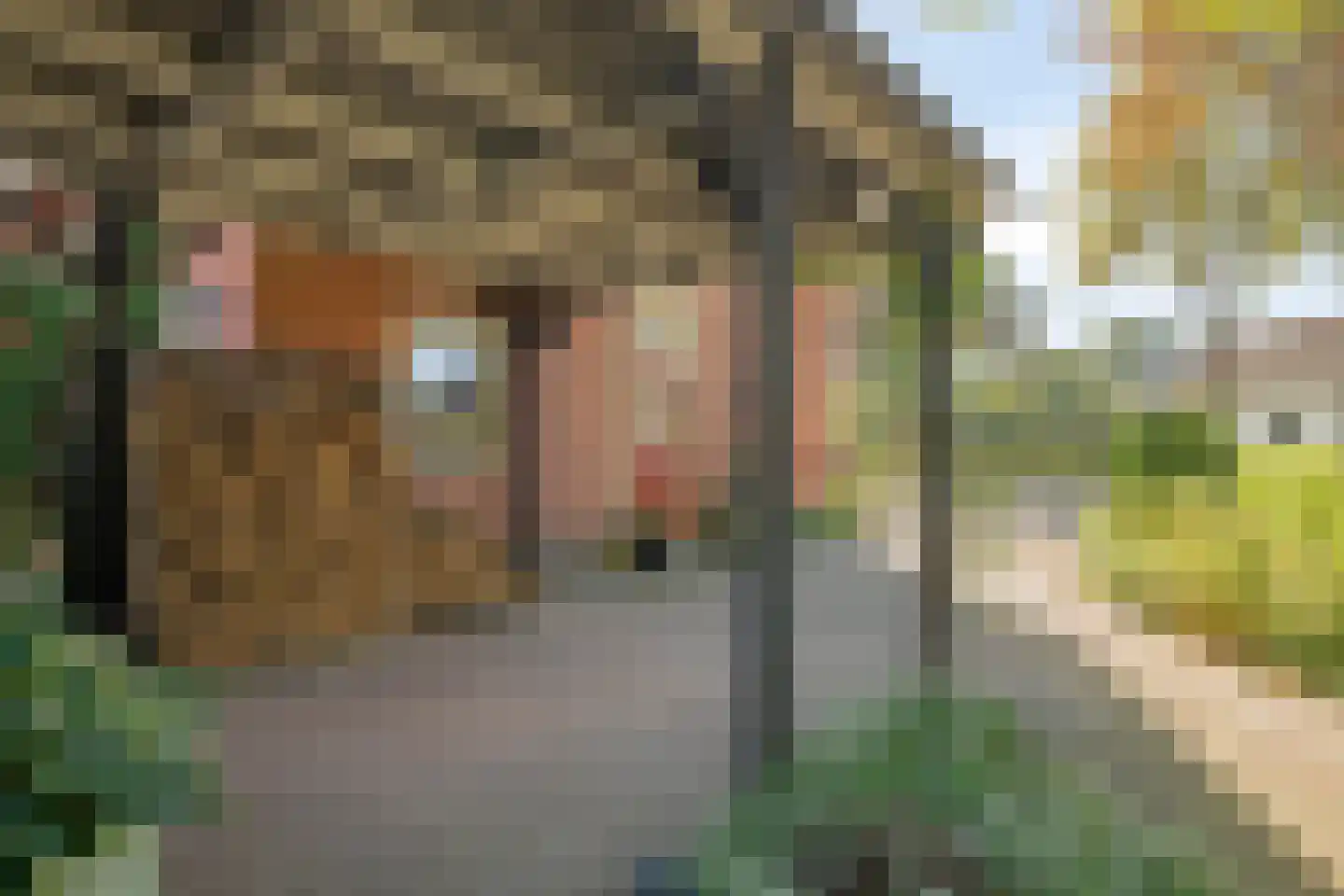 Krugerstraat 40 Vaassen thumbnail 37