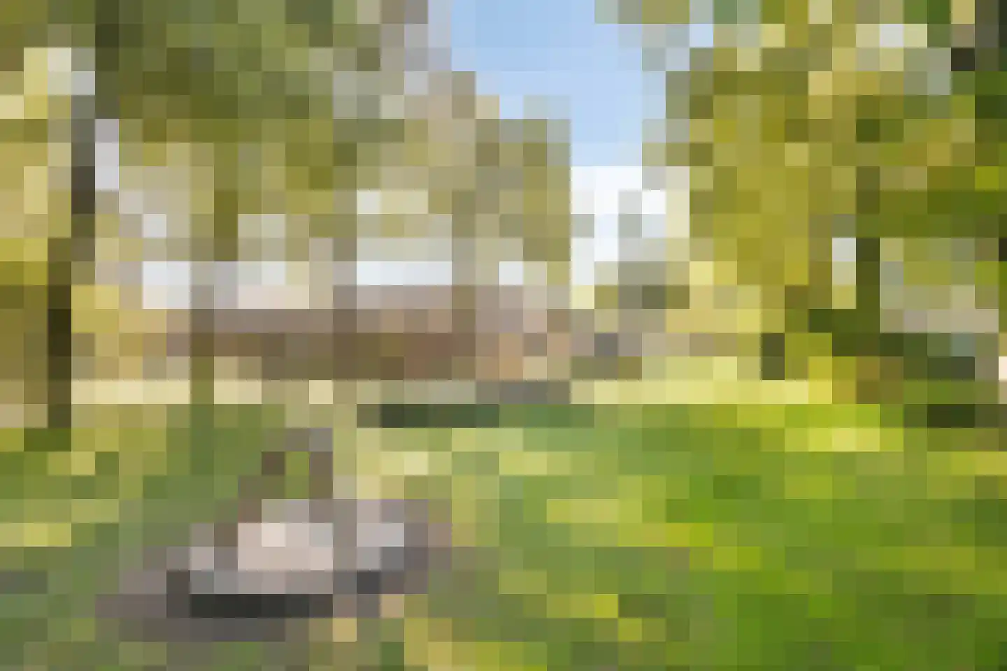 Krugerstraat 40 Vaassen thumbnail 41