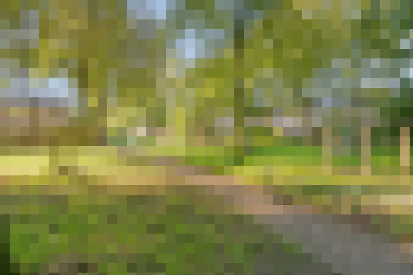 Krugerstraat 40 Vaassen thumbnail 42