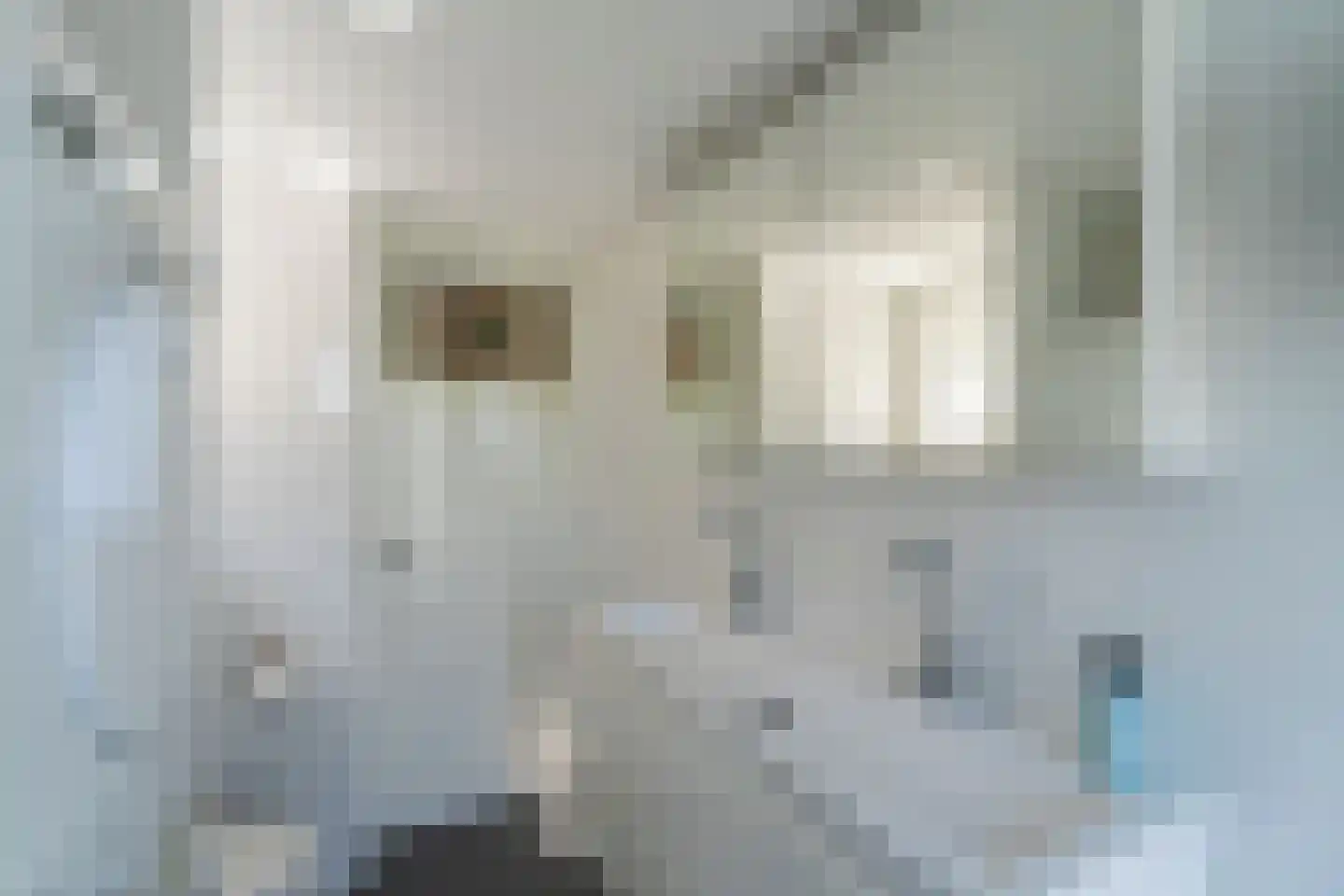 Krugerstraat 42 Utrecht thumbnail 20