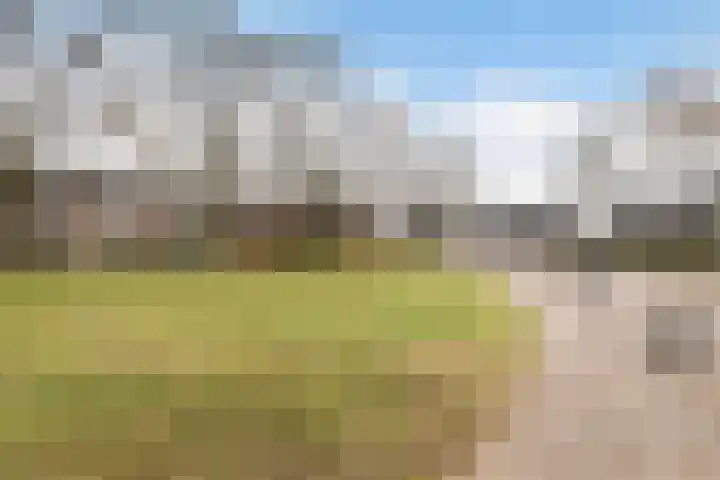 Krugerstraat 45 Vaassen thumbnail 36
