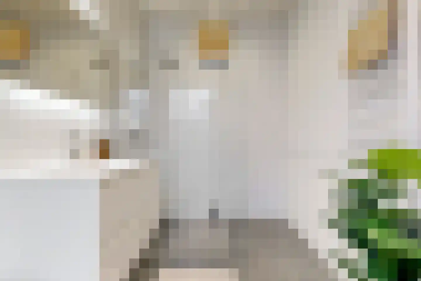 Krugerstraat 47 BS Utrecht thumbnail 15