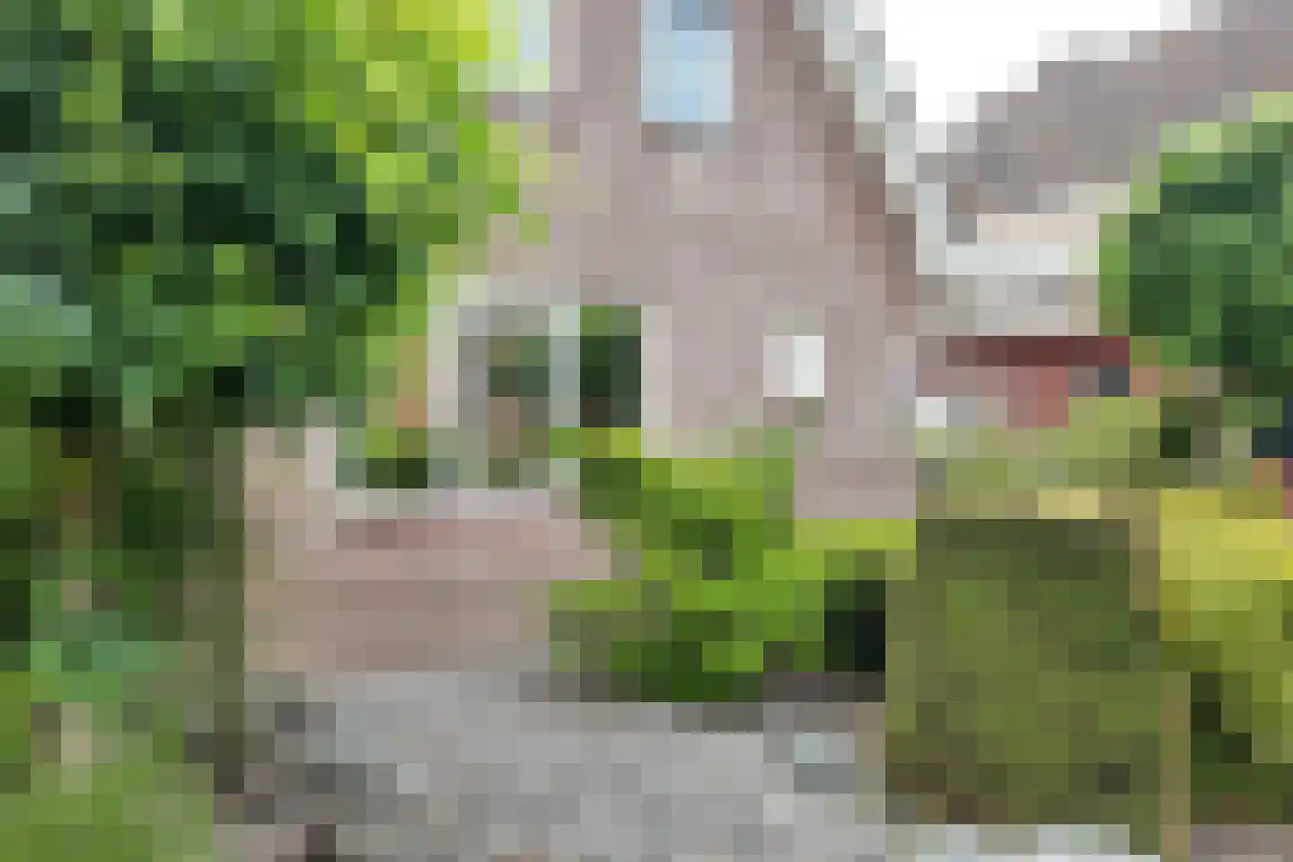 Krugerstraat 51 a Klundert thumbnail 74