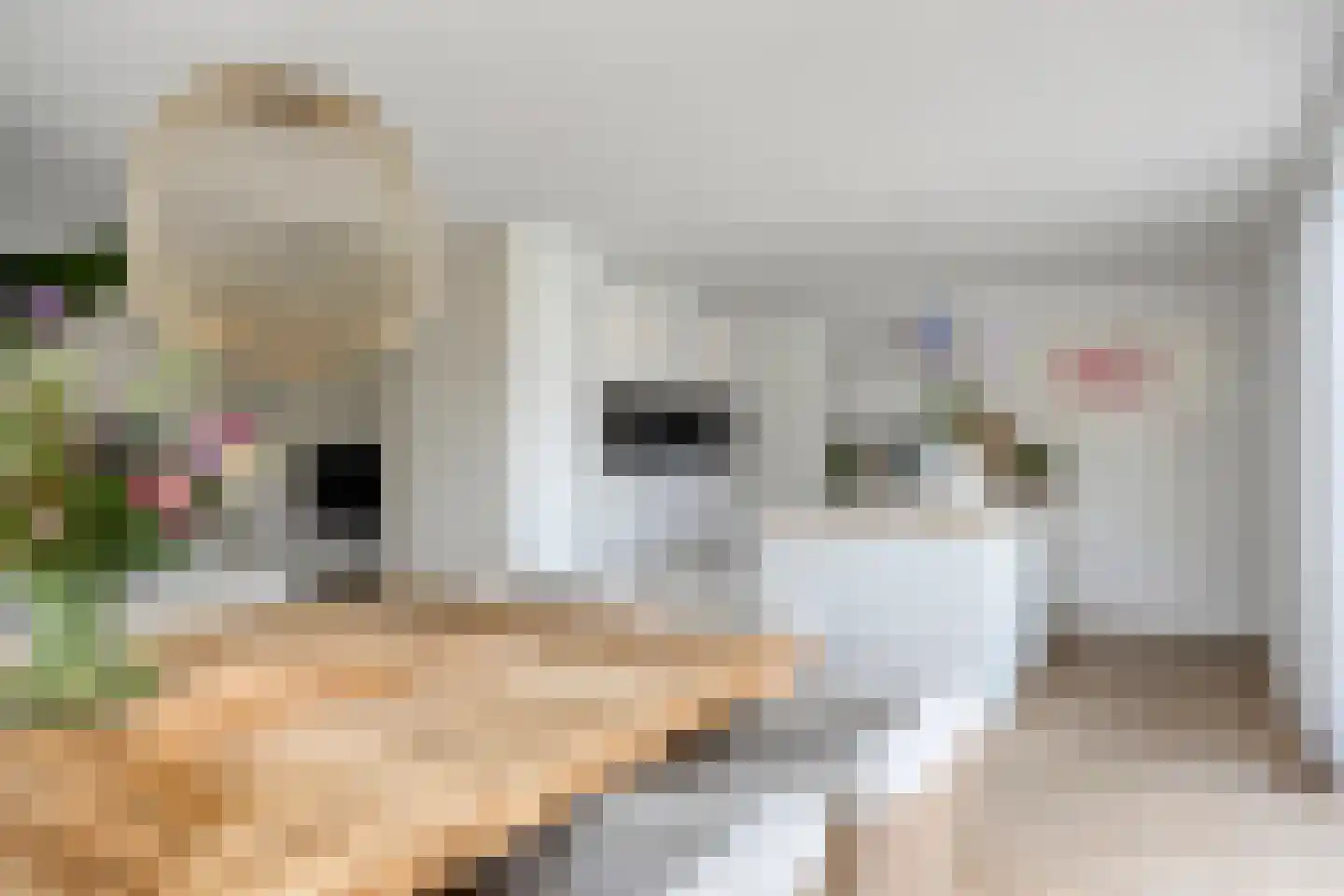 Krugerstraat 57 Vaassen thumbnail 16