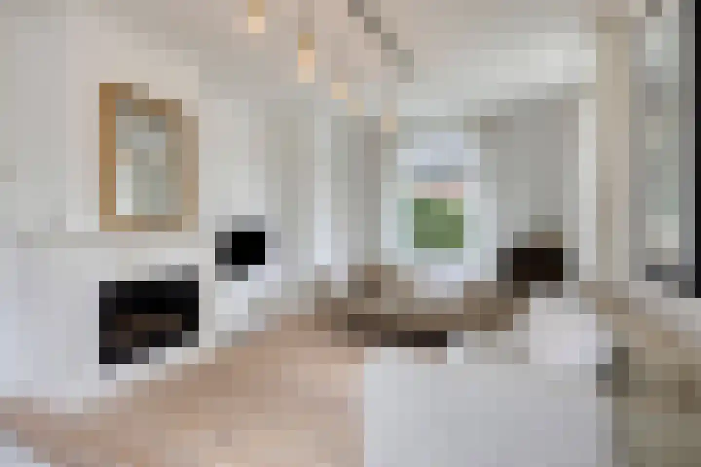 Krugerstraat 57 Vaassen thumbnail 9