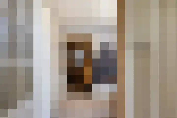 Krugerstraat 59 Vaassen thumbnail 13