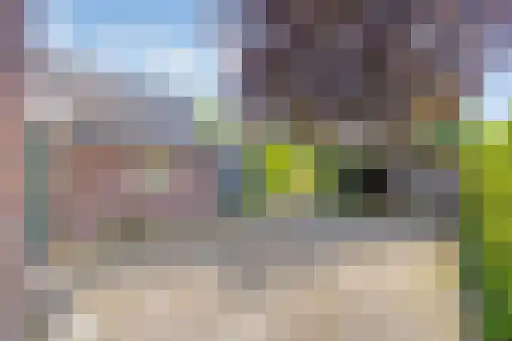 Krugerstraat 59 Vaassen thumbnail 22
