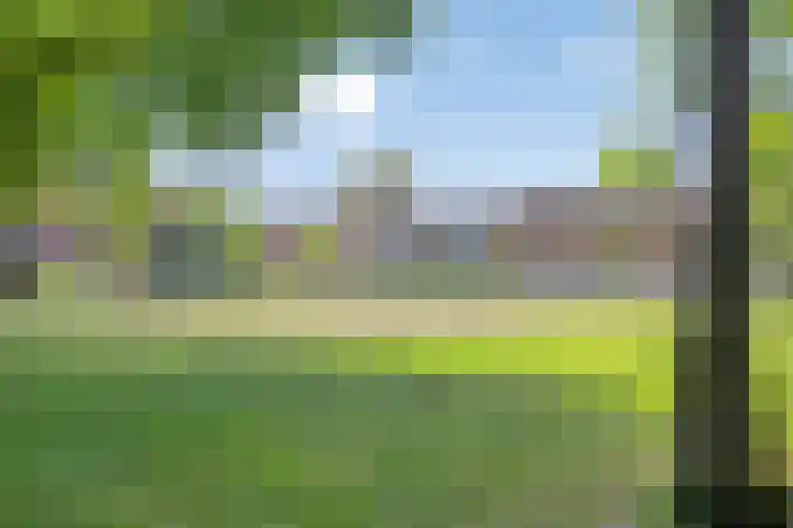 Krugerstraat 59 Vaassen thumbnail 29