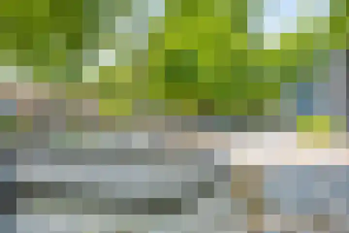 Krugerstraat 59 Vaassen thumbnail 30