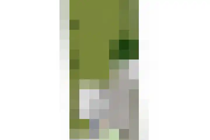 Krugerstraat 59 Vaassen thumbnail 36