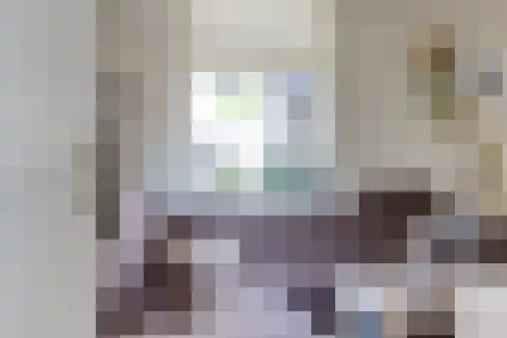 Krugerstraat 59 Vaassen thumbnail 6