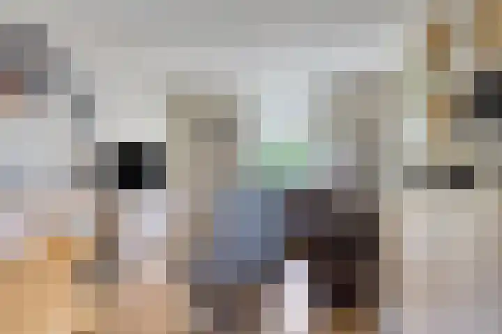 Krugerstraat 59 Vaassen thumbnail 8