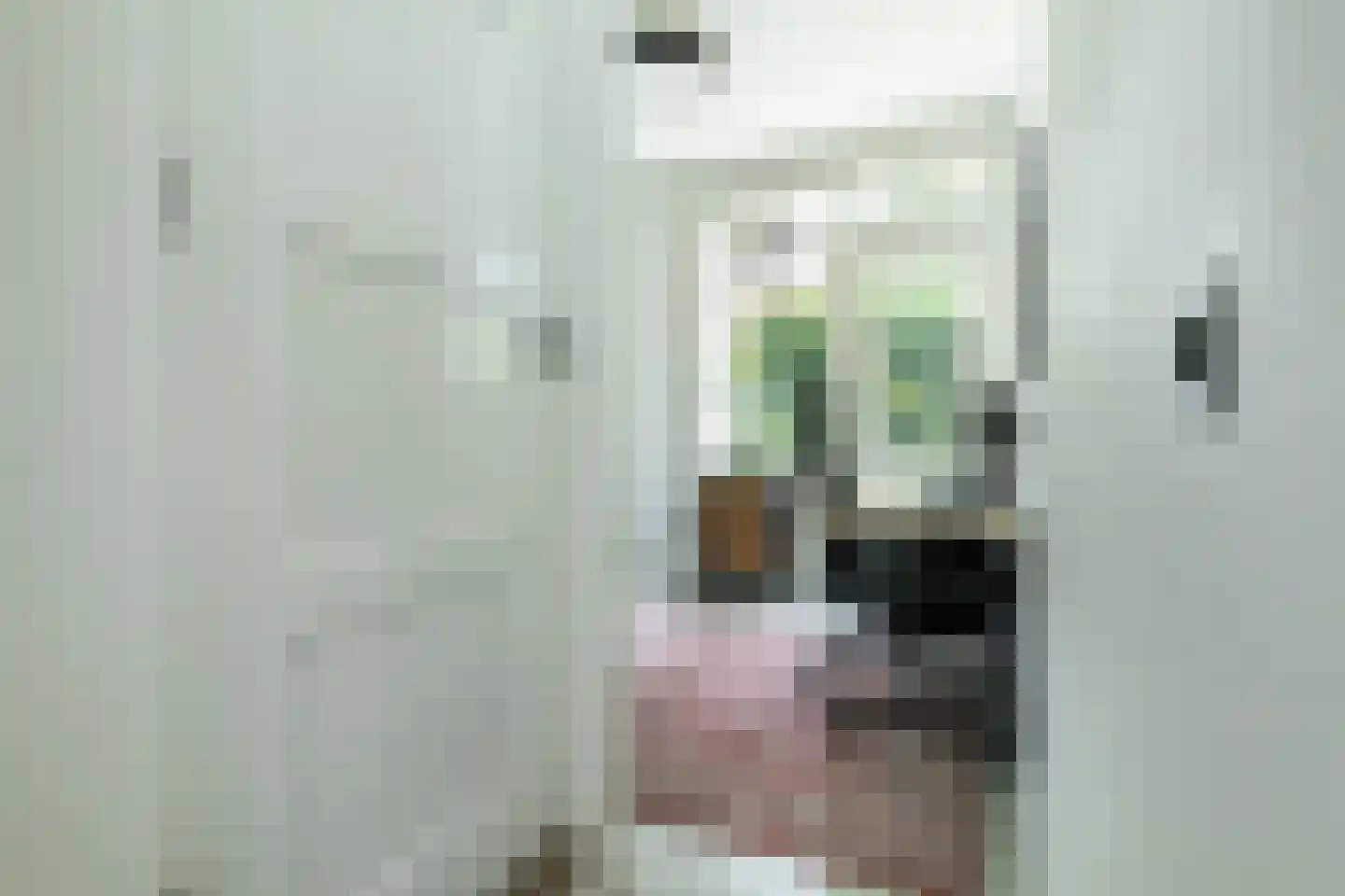 Krugerstraat 68 Utrecht thumbnail 21