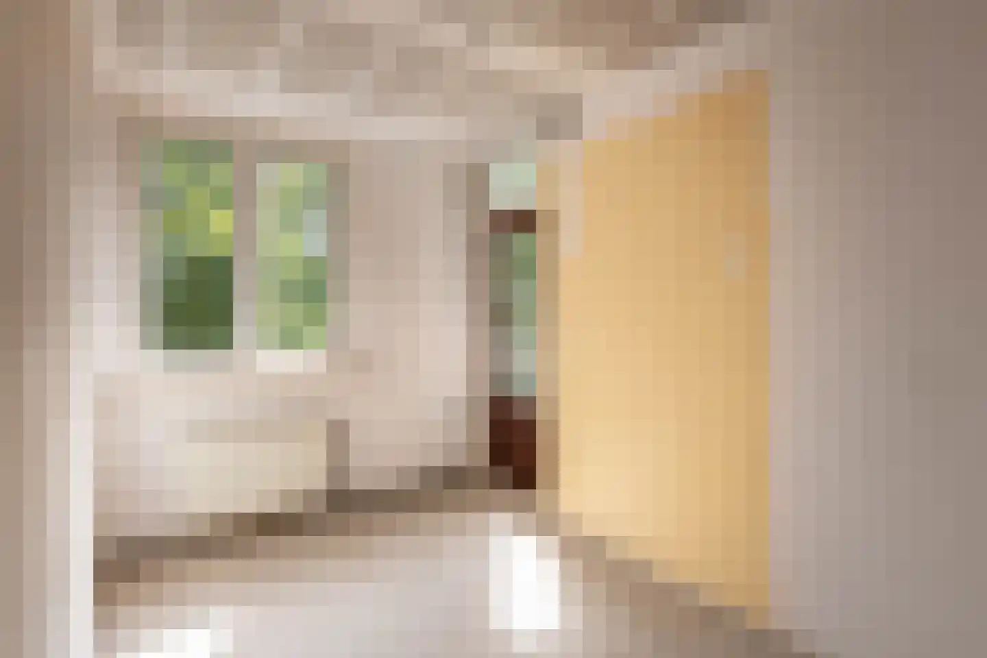 Krugerstraat 7 B Amsterdam thumbnail 9