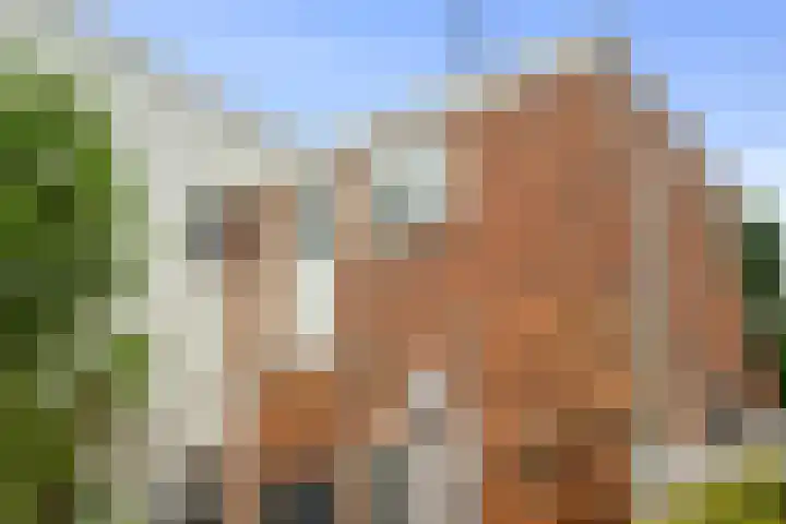 Krugerstraat 87 Den Helder thumbnail 16
