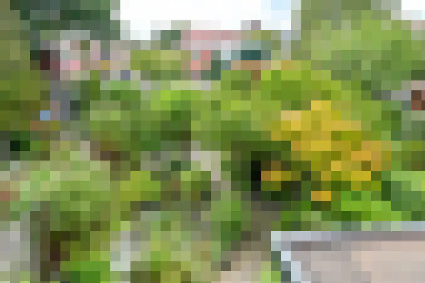 Kruidbergerweg 21 Santpoort-Noord thumbnail 35