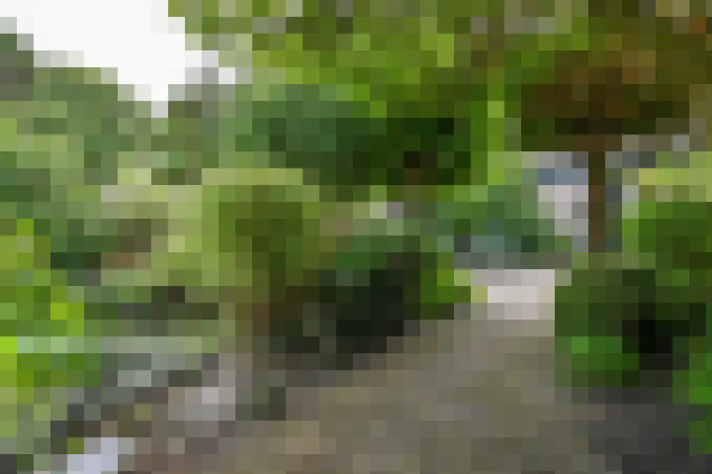Kruidbergerweg 21 Santpoort-Noord thumbnail 40