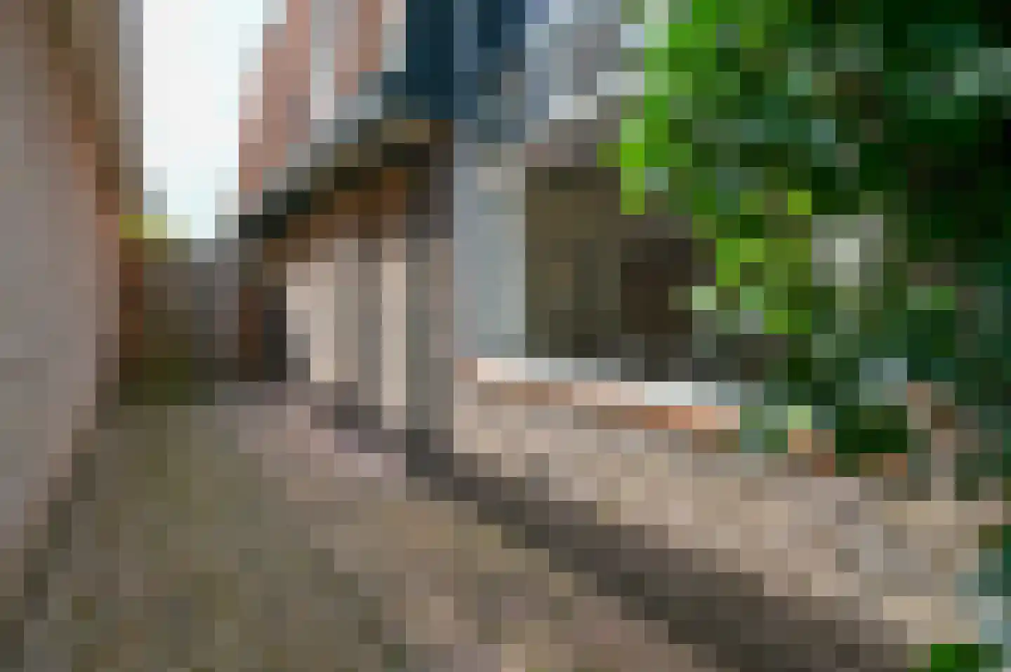 Kruidbergerweg 21 Santpoort-Noord thumbnail 50
