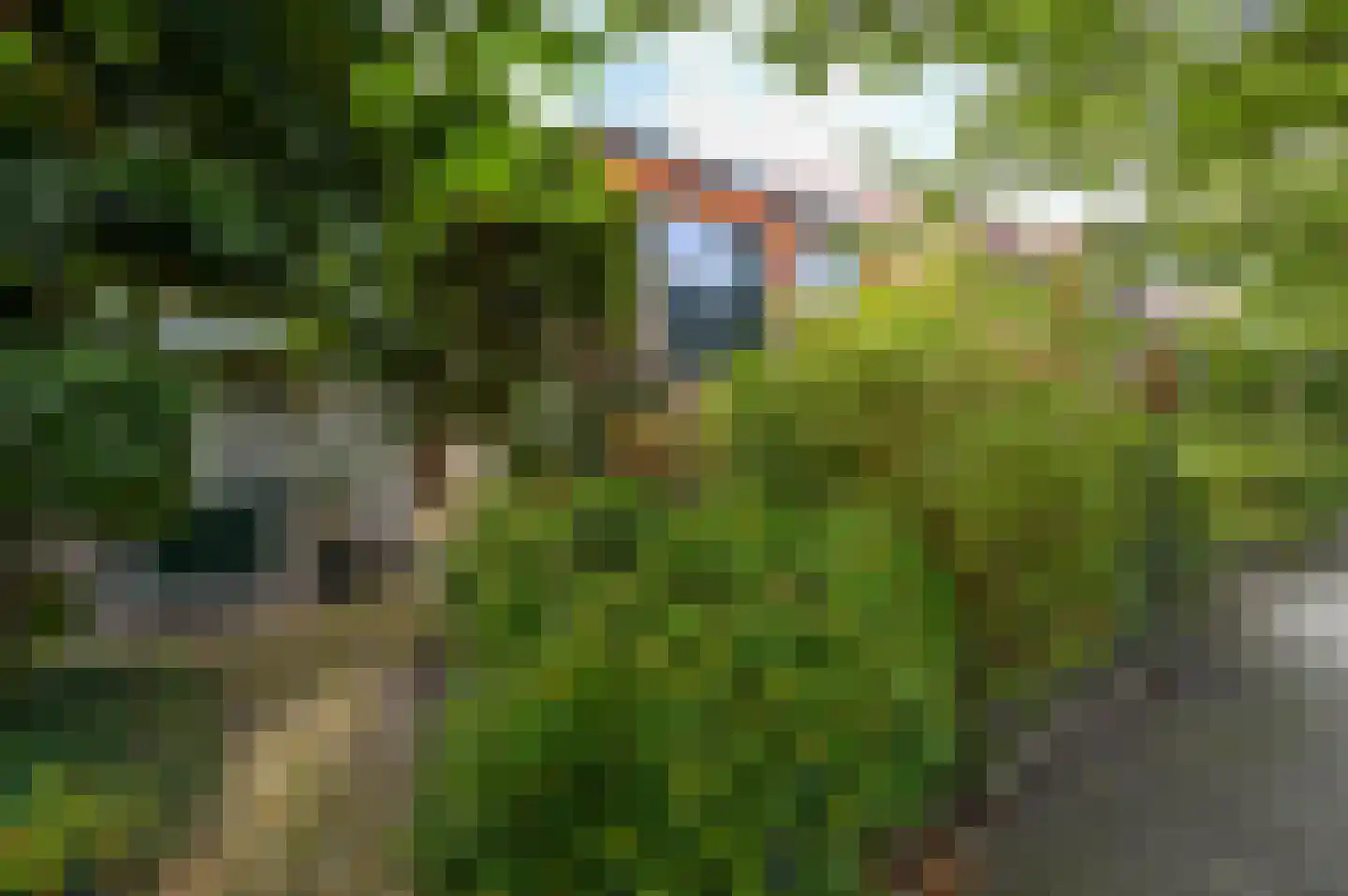 Kruidbergerweg 21 Santpoort-Noord thumbnail 53