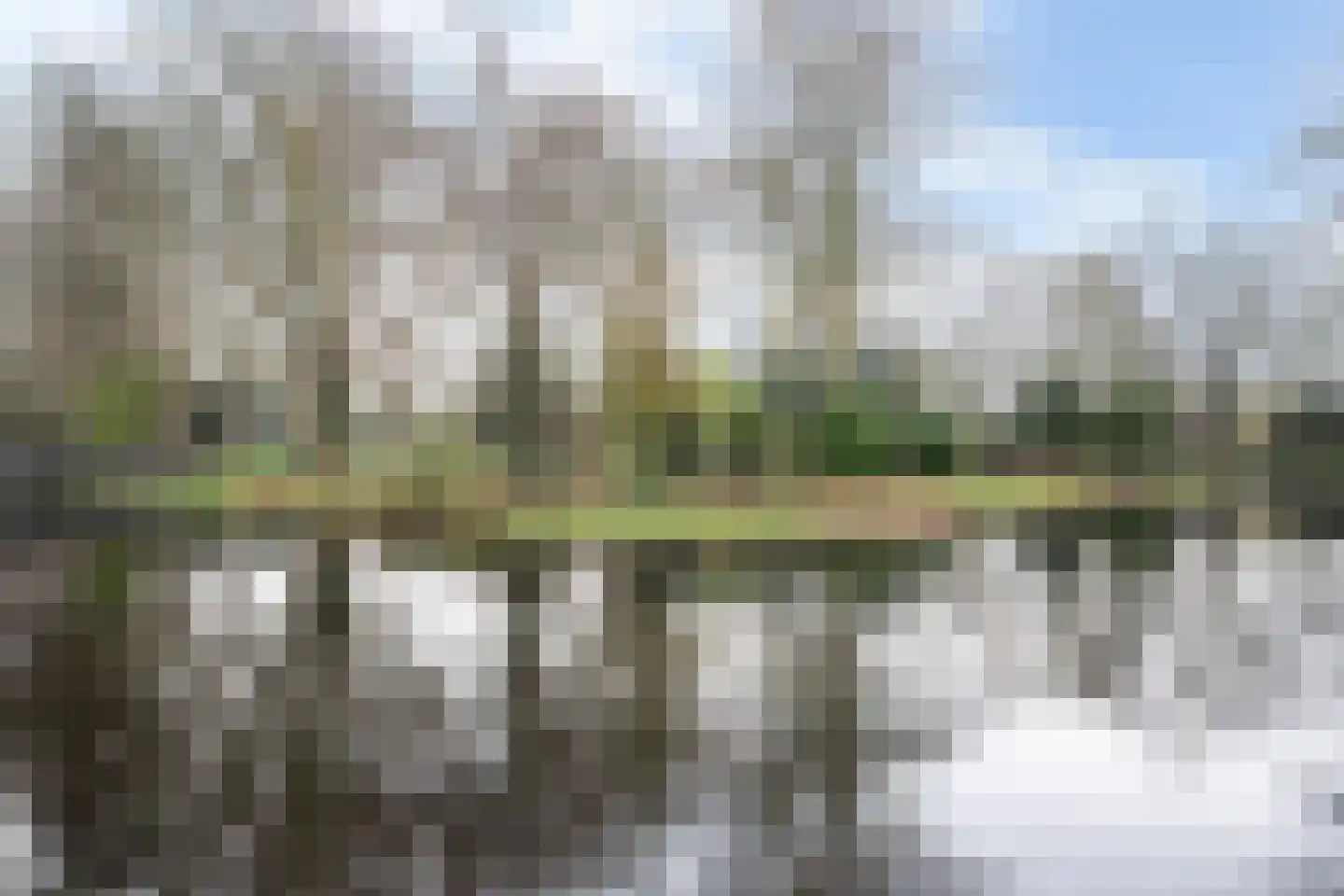 Kruidenburg 9 Gouda thumbnail 42