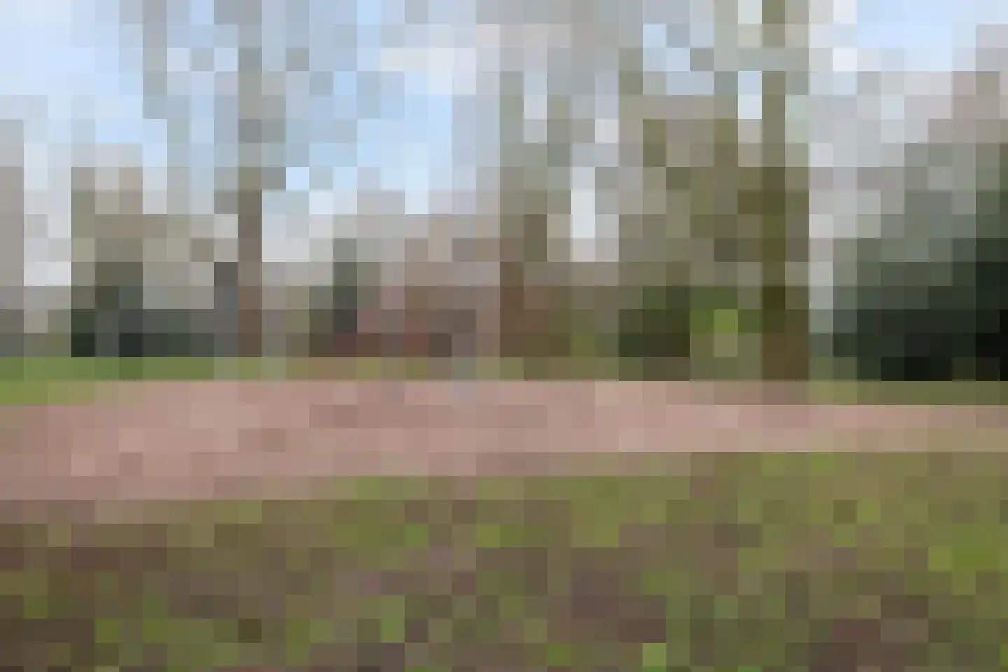 Kruidenburg 9 Gouda thumbnail 43