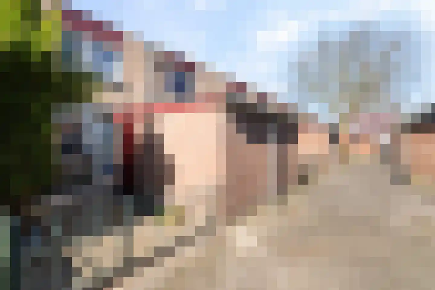 Kruidenburg 9 Gouda thumbnail 6