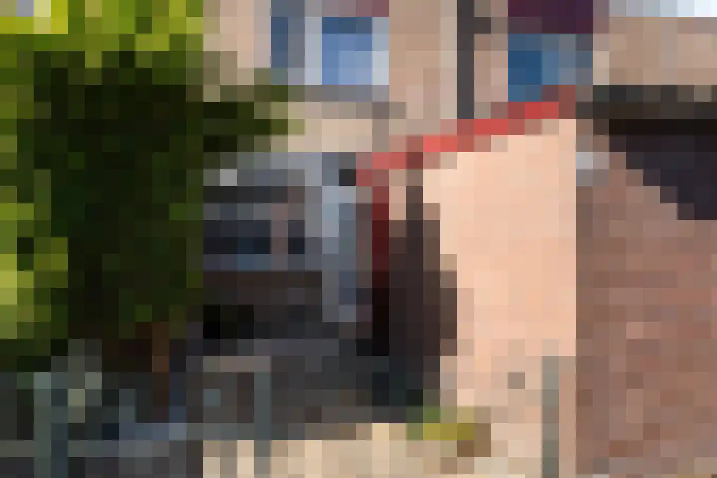 Kruidenburg 9 Gouda thumbnail 7