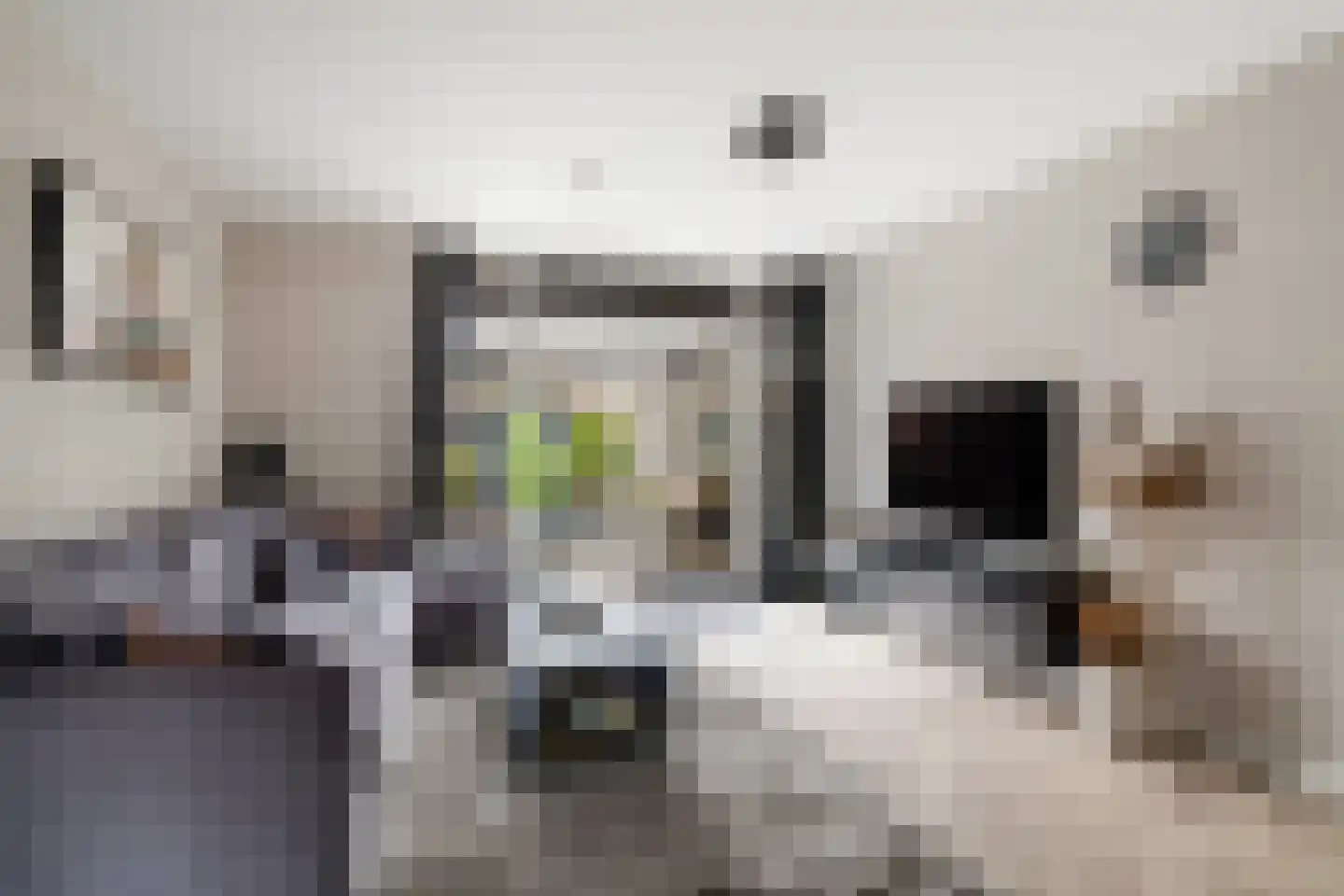 Kruidenburg 9 Gouda thumbnail 9