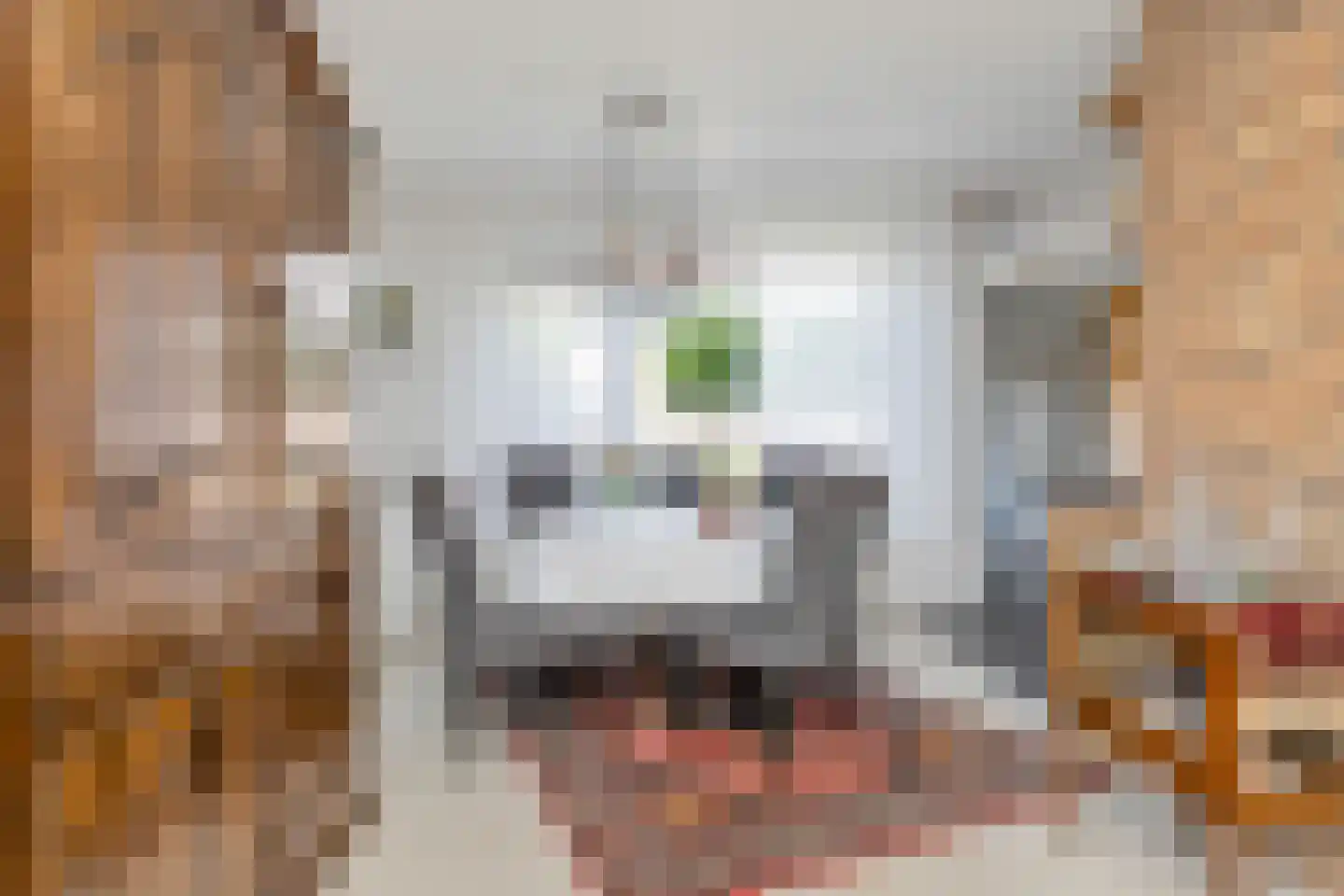 Kruidendreef 101 Dronten thumbnail 21