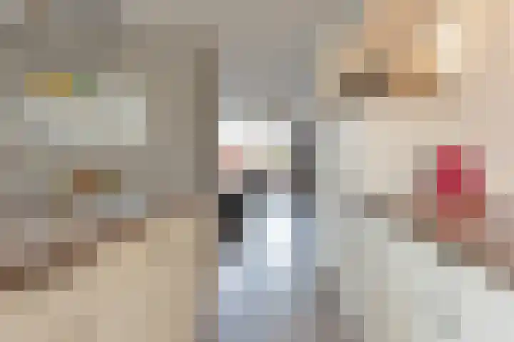 Kruidendreef 12 Amersfoort thumbnail 13