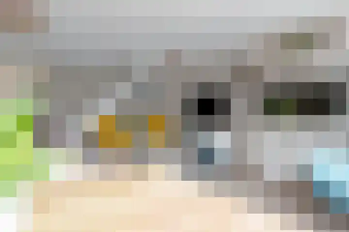 Kruidendreef 12 Amersfoort thumbnail 15