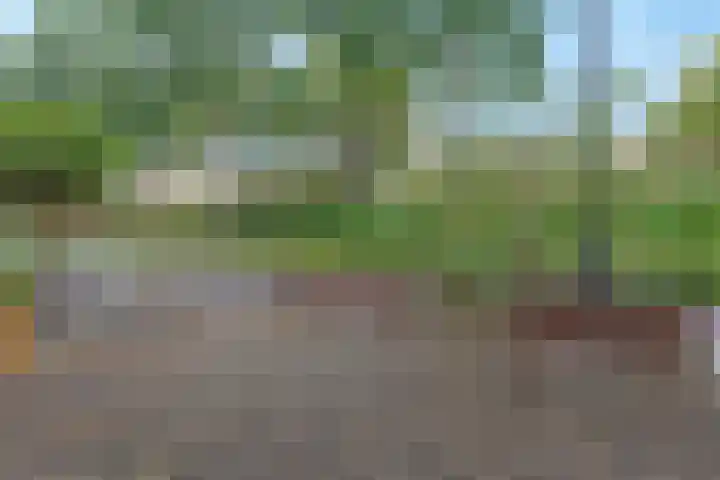 Kruidendreef 12 Amersfoort thumbnail 8