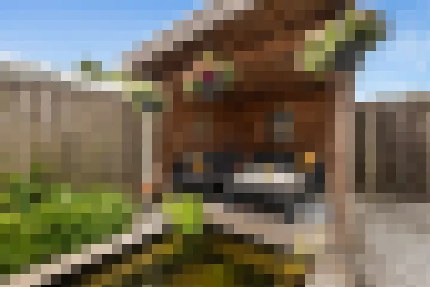 Kruidendreef 135 Dronten thumbnail 25