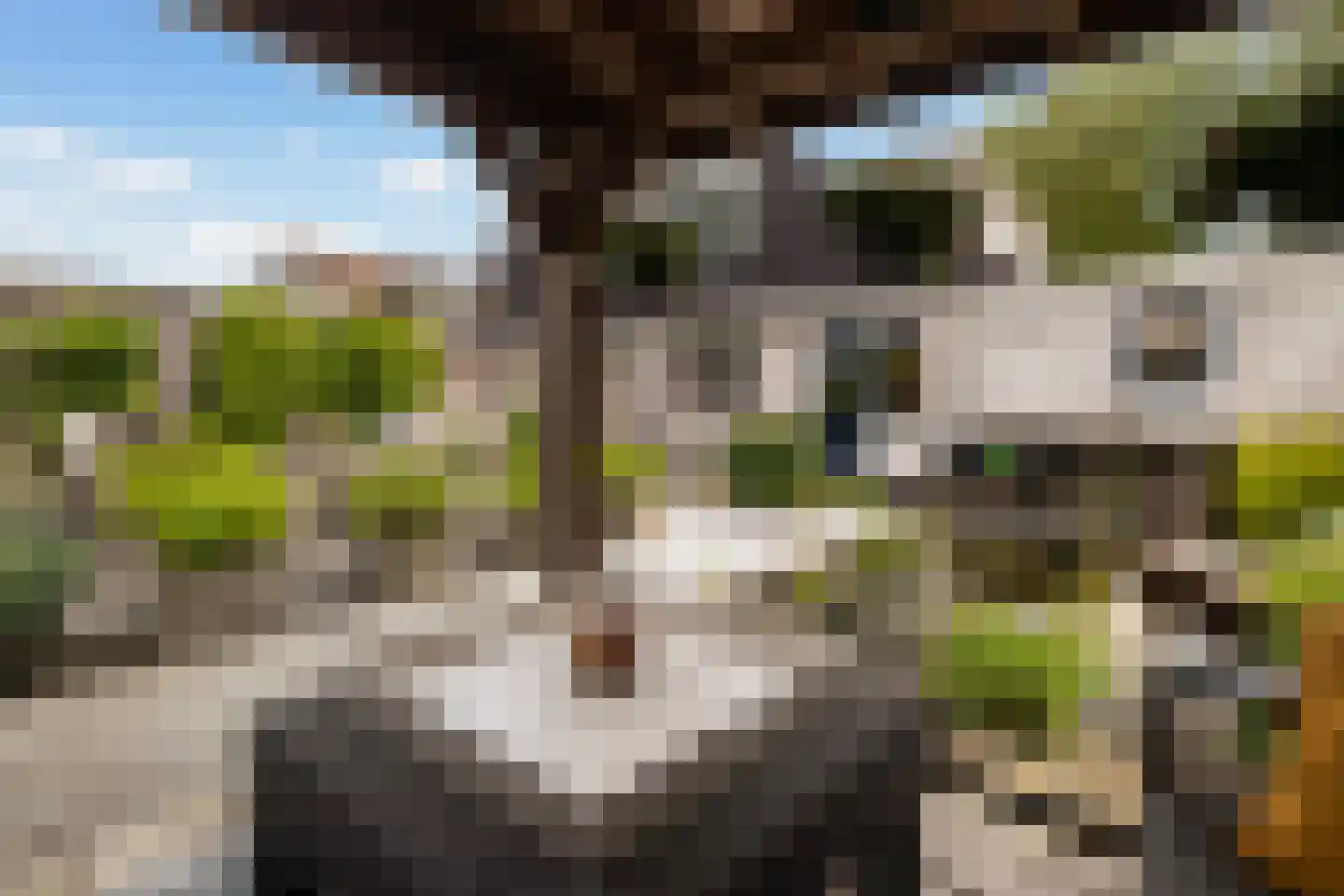 Kruidendreef 135 Dronten thumbnail 26