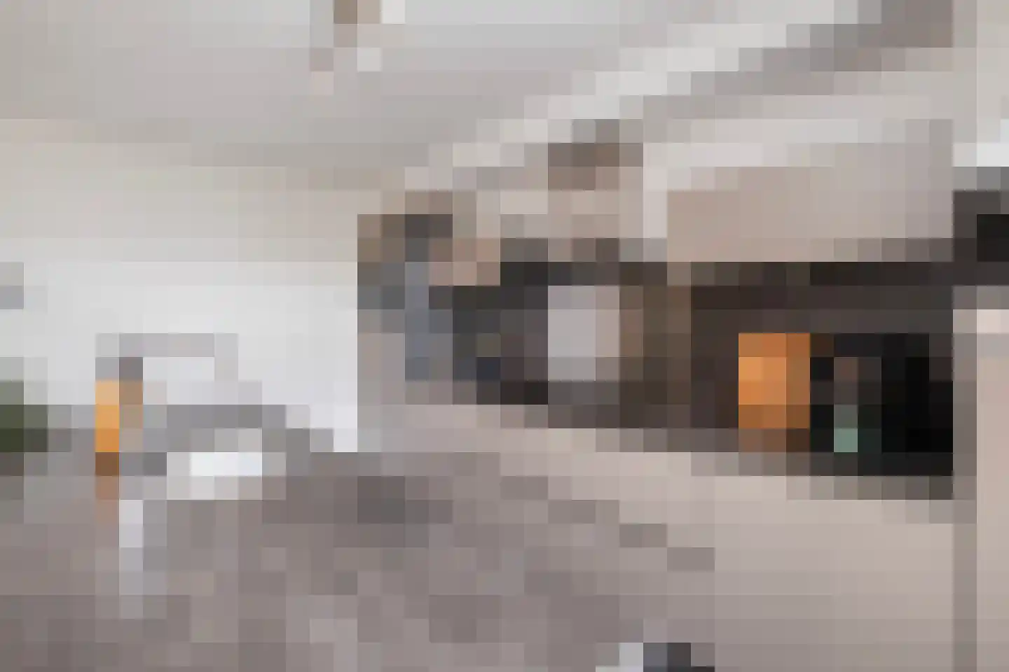 Kruidendreef 135 Dronten thumbnail 8
