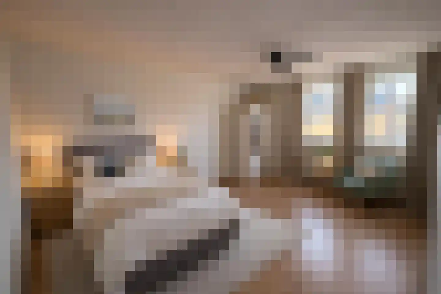 Kruidendreef 45 Dronten thumbnail 7