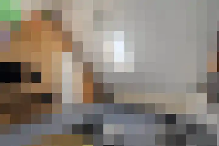 Kruidendreef 53 Dronten thumbnail 48